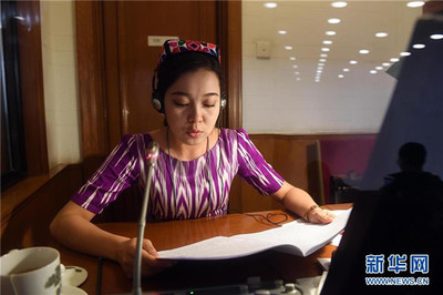 語言橋梁，共商國(guó)是——記為兩會(huì)服務(wù)的民族語文翻譯組